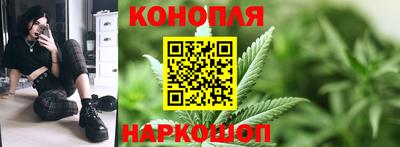 прущие крисы Тара