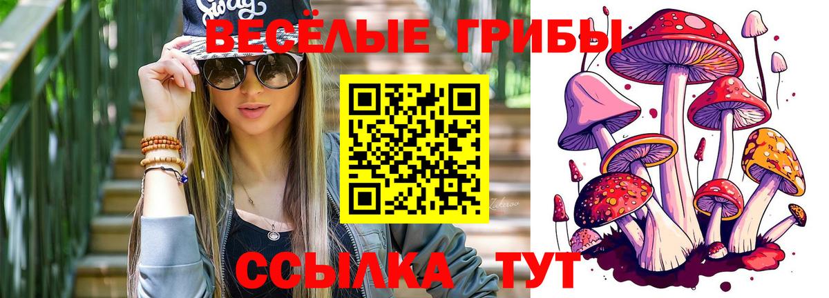 Псилоцибиновые грибы Magic Shrooms  Псилоцибиновые грибы Cubensis  Вход с VPN  Ленинск-Кузнецкий 