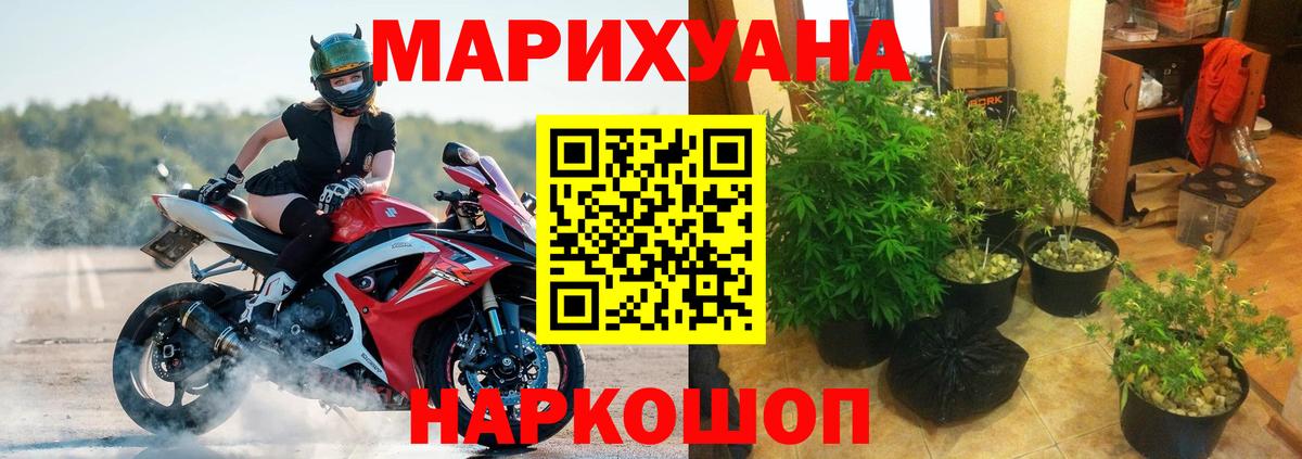 МАРИХУАНА планчик  Шишки марихуана сатива  Вход с VPN  Ленинск-Кузнецкий 
